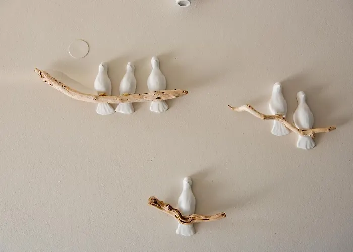 Отель Zoes & 3*