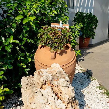 Hotel Zoes Hotel&suites